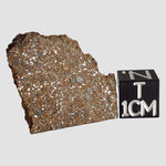 NWA 2860 Meteorite | 4.0 Grams | Part Slice | H4 | Sahara Desert 0