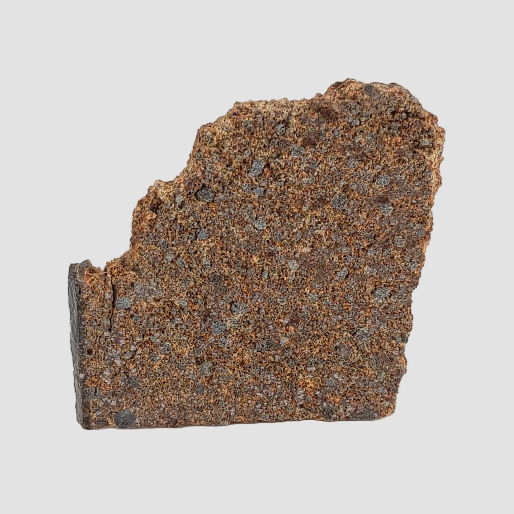 NWA 2860 Meteorite | 4.0 Grams | Part Slice | H4 | Sahara Desert 3
