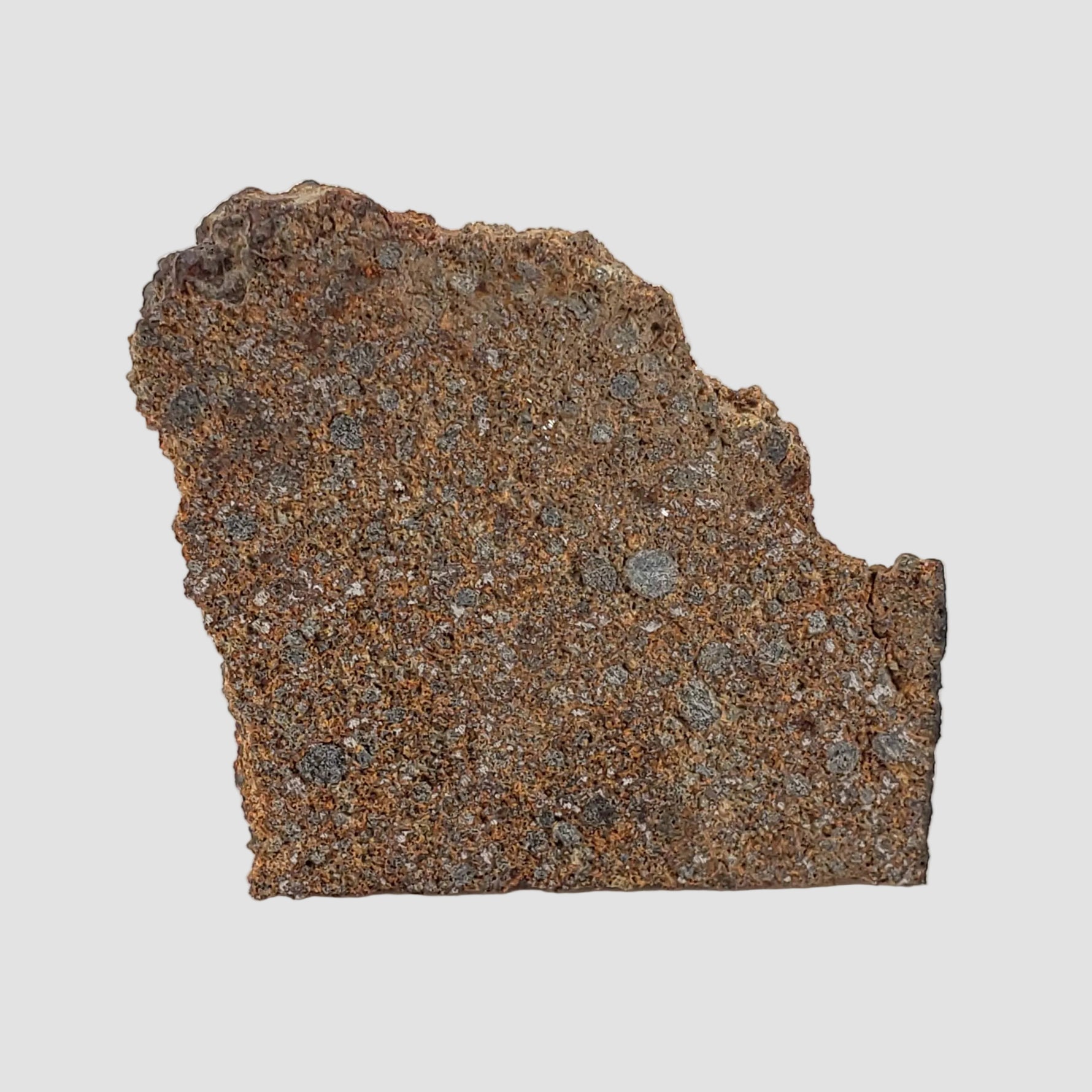 NWA 2860 Meteorite | 4.0 Grams | Part Slice | H4 | Sahara Desert 4