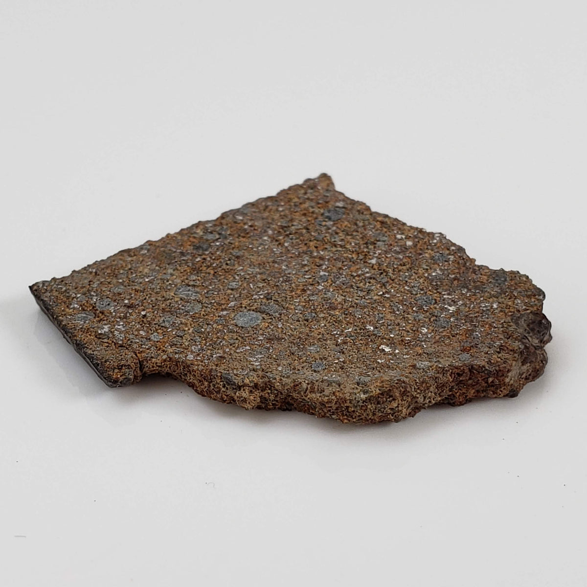 NWA 2860 Meteorite | 4.0 Grams | Part Slice | H4 | Sahara Desert 5
