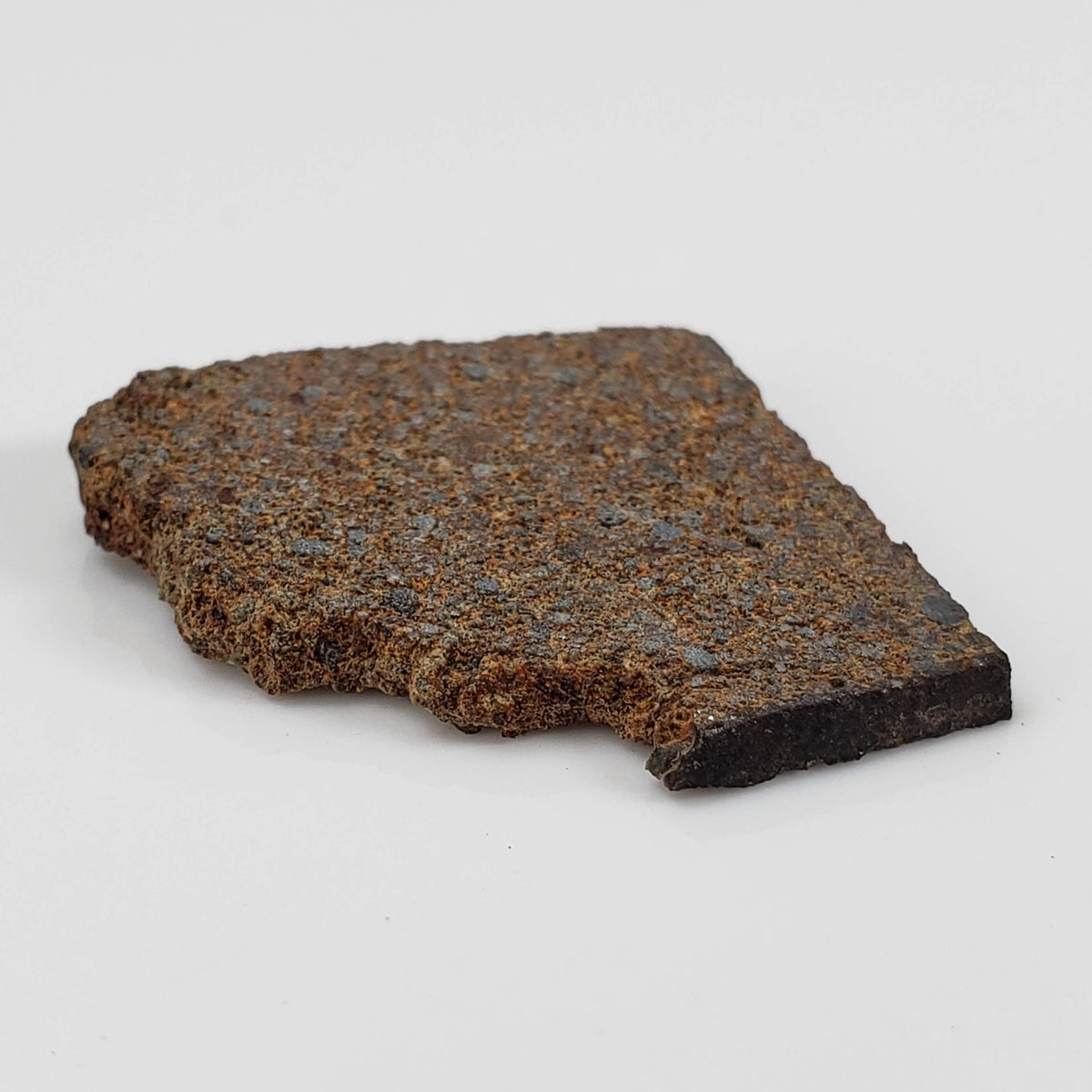 NWA 2860 Meteorite | 4.0 Grams | Part Slice | H4 | Sahara Desert 7