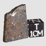 NWA 2863 Meteorite | 3.9 grams | Part Slice | L4 | Low TKW 0