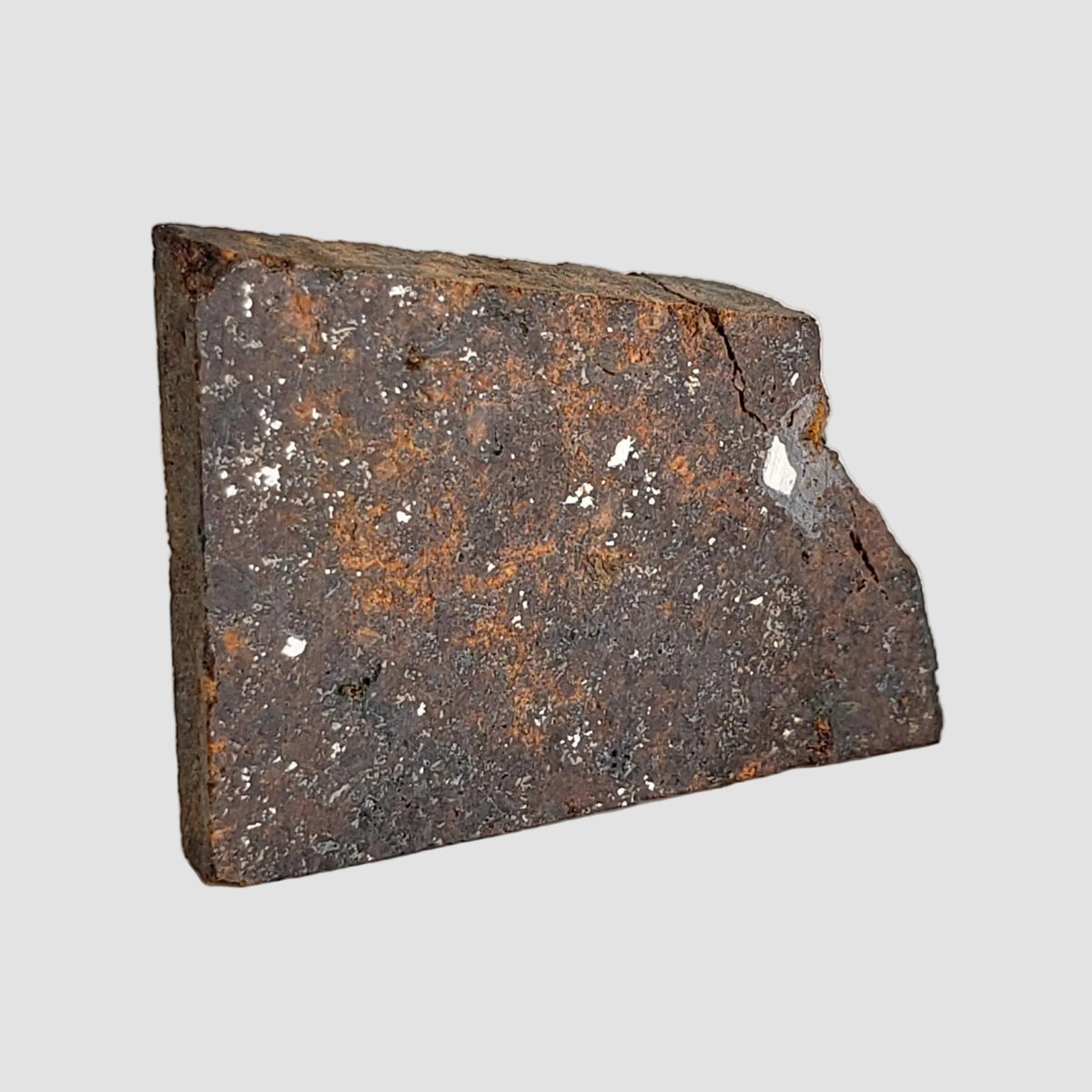 NWA 2863 Meteorite | 3.9 grams | Part Slice | L4 | Low TKW 2
