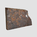 NWA 2863 Meteorite | 3.9 grams | Part Slice | L4 | Low TKW 2