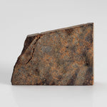 NWA 2863 Meteorite | 3.9 grams | Part Slice | L4 | Low TKW 5