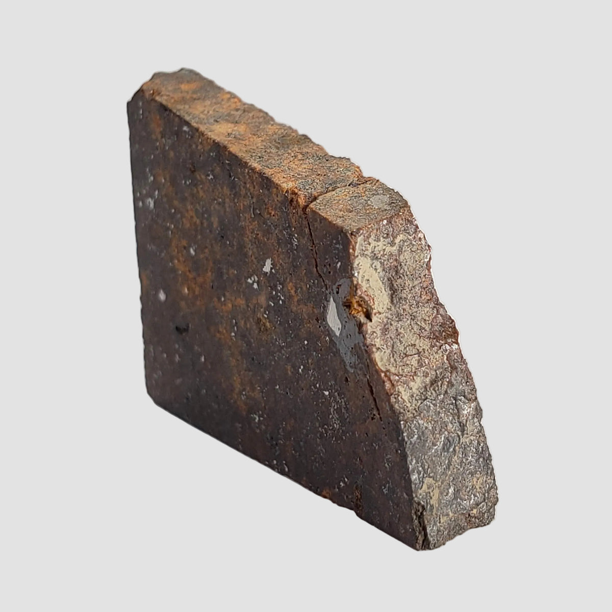 NWA 2863 Meteorite | 3.9 grams | Part Slice | L4 | Low TKW 7