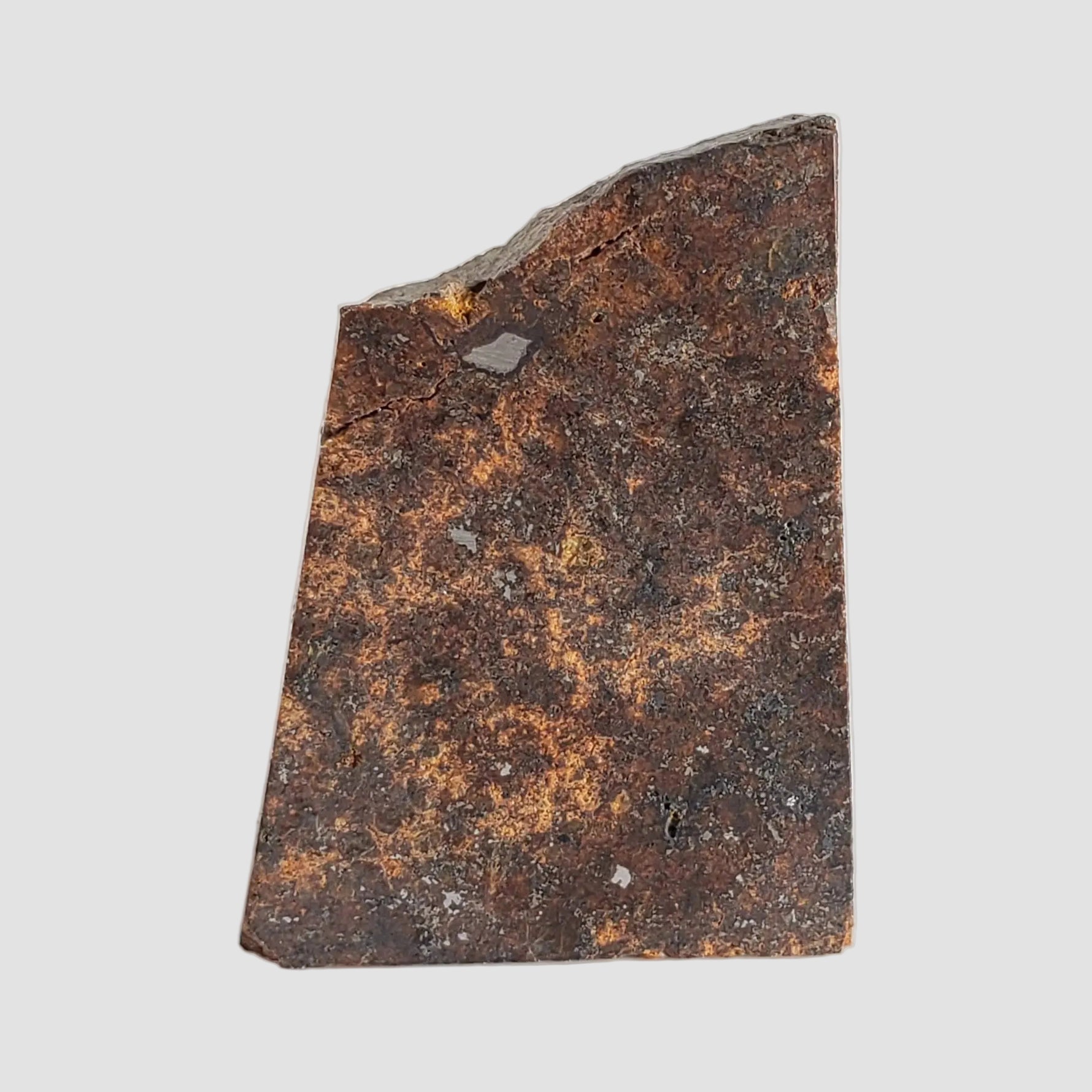 NWA 2863 Meteorite | 3.9 grams | Part Slice | L4 | Low TKW 4