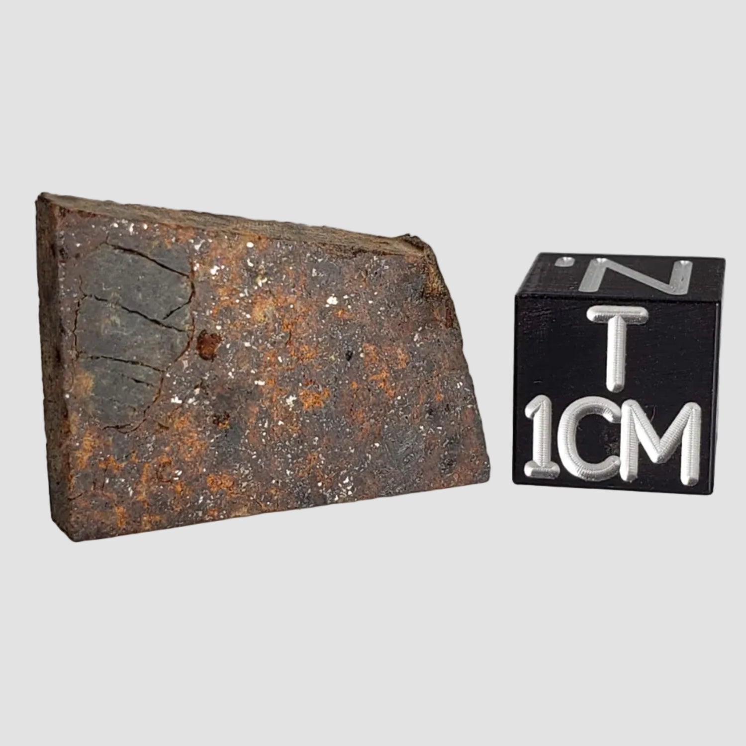 NWA 2863 Meteorite | 4.5 grams | Part Slice | L4 | Low TKW