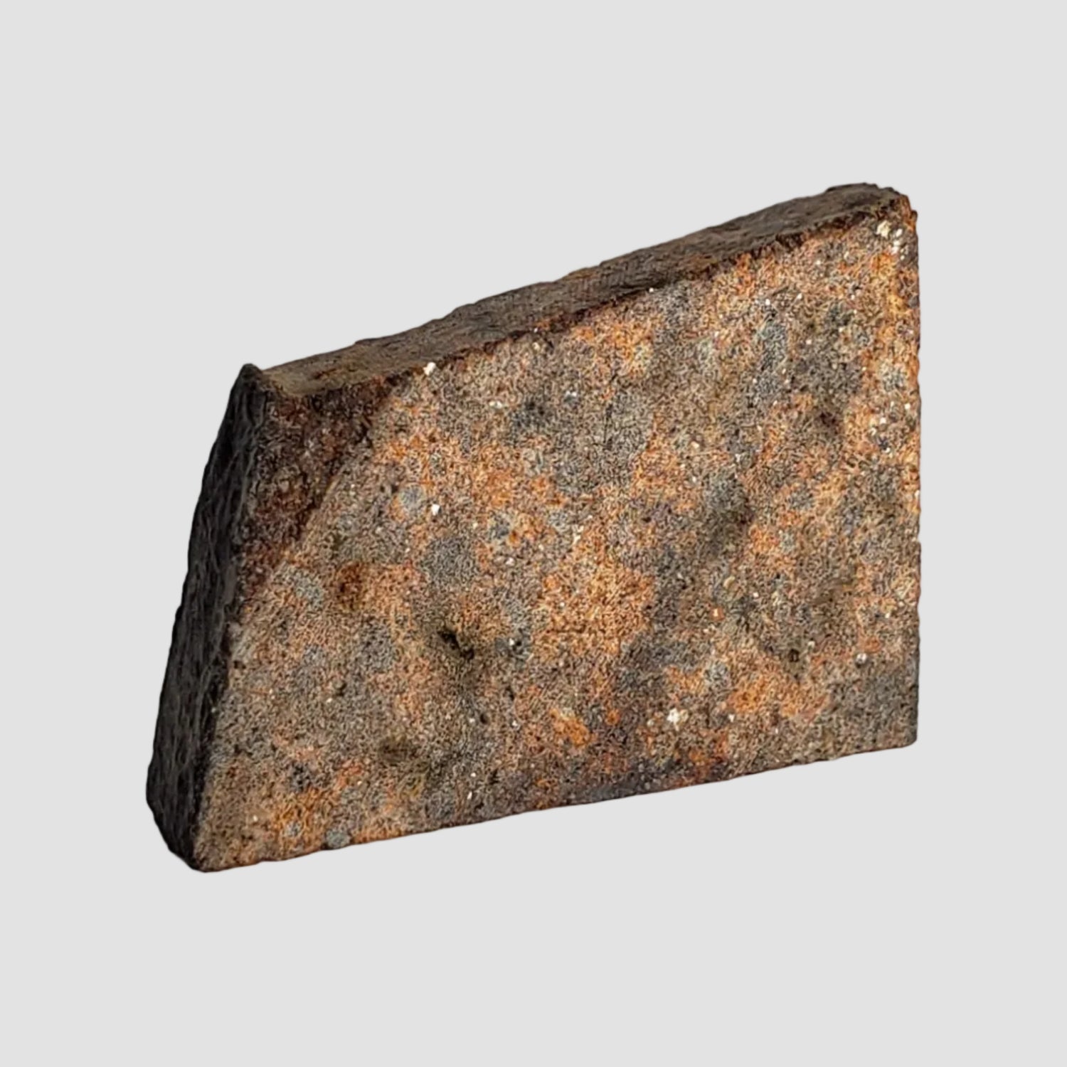 NWA 2863 Meteorite | 4.5 grams | Part Slice | L4 | Low TKW