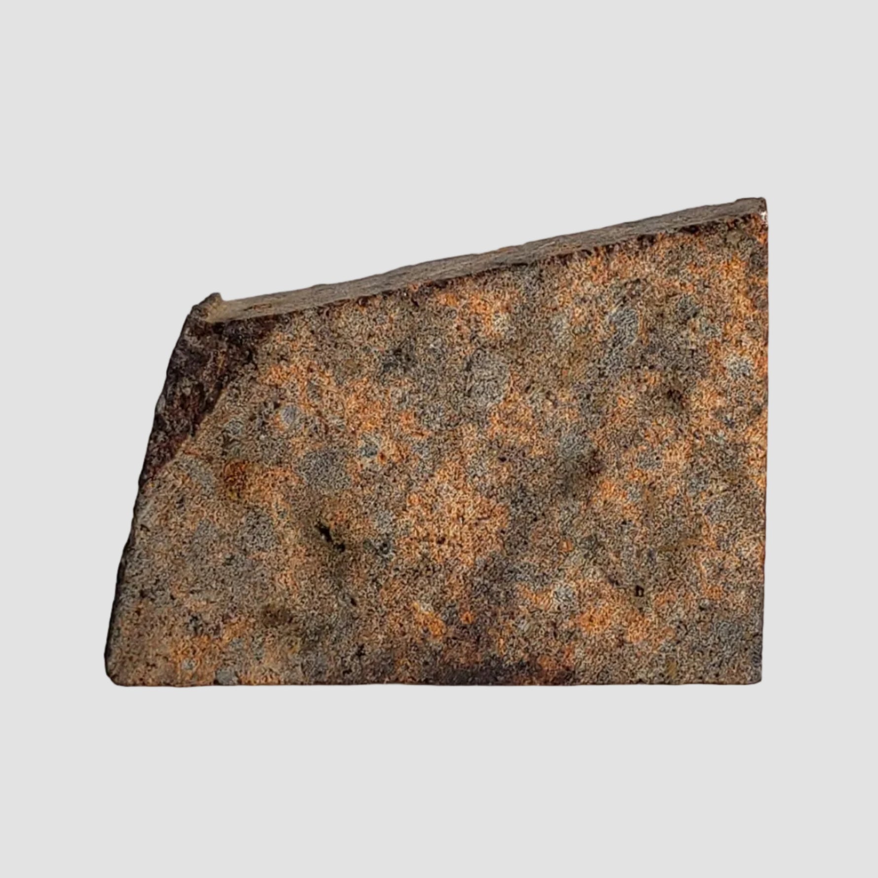  NWA 2863 Meteorite | 4.5 grams | Part Slice | L4 | Low TKW 2