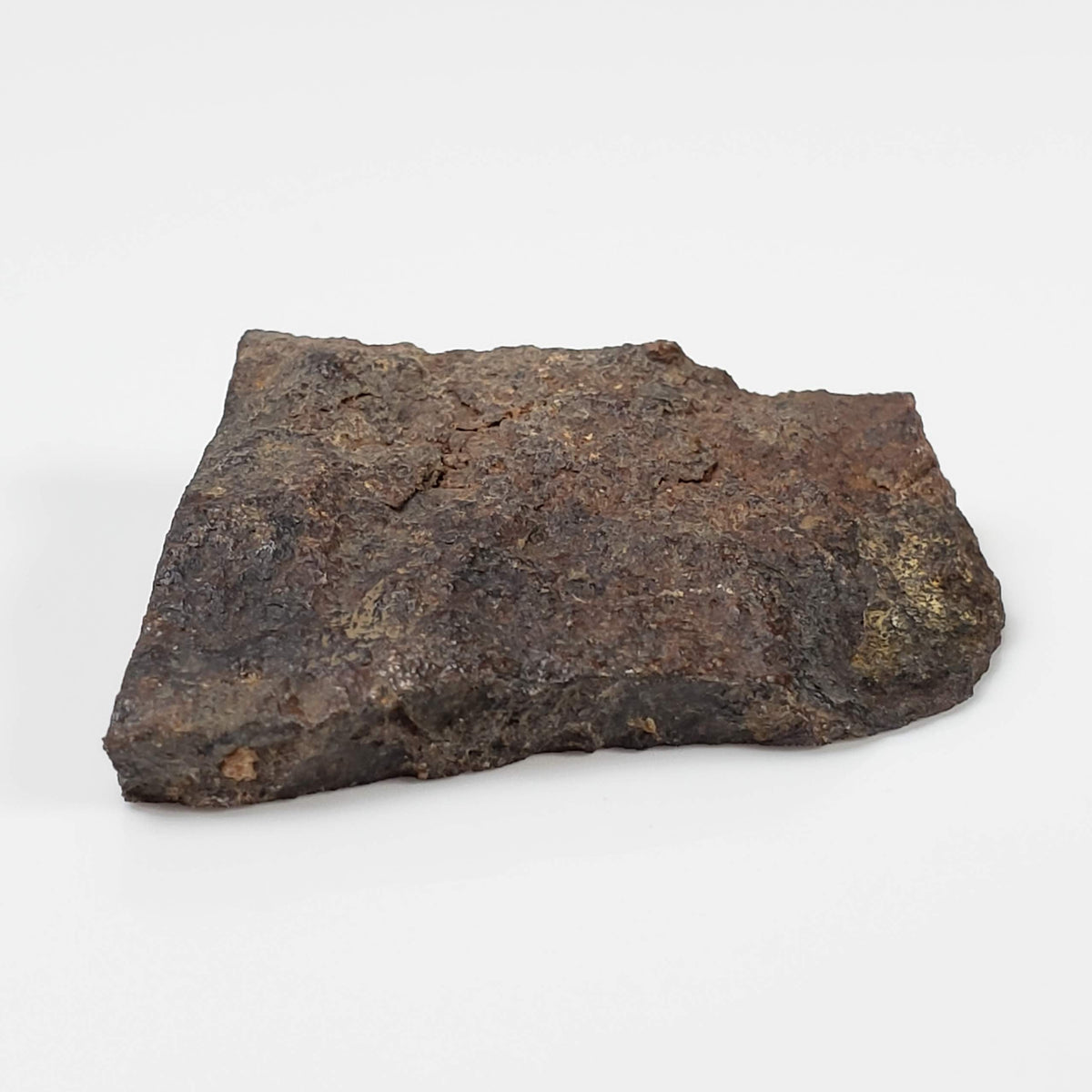  NWA 2865 Meteorite | 10.76 grams | Part End Cut | L4 | Low TKW 6