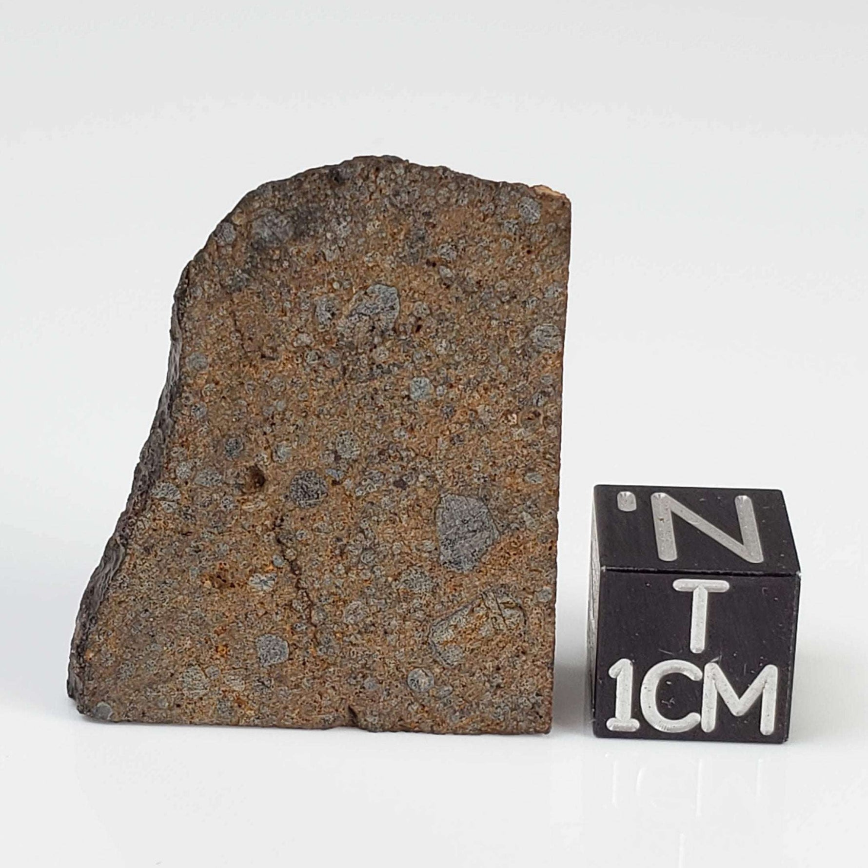  NWA 2865 Meteorite | 10.76 grams | Part End Cut | L4 | Low TKW 