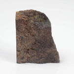  NWA 2865 Meteorite | 10.76 grams | Part End Cut | L4 | Low TKW 1