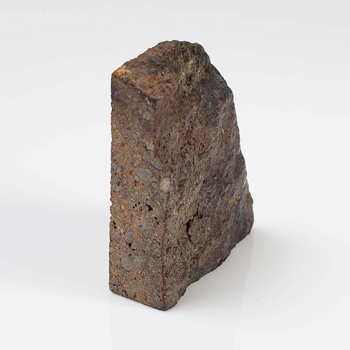  NWA 2865 Meteorite | 10.76 grams | Part End Cut | L4 | Low TKW 2