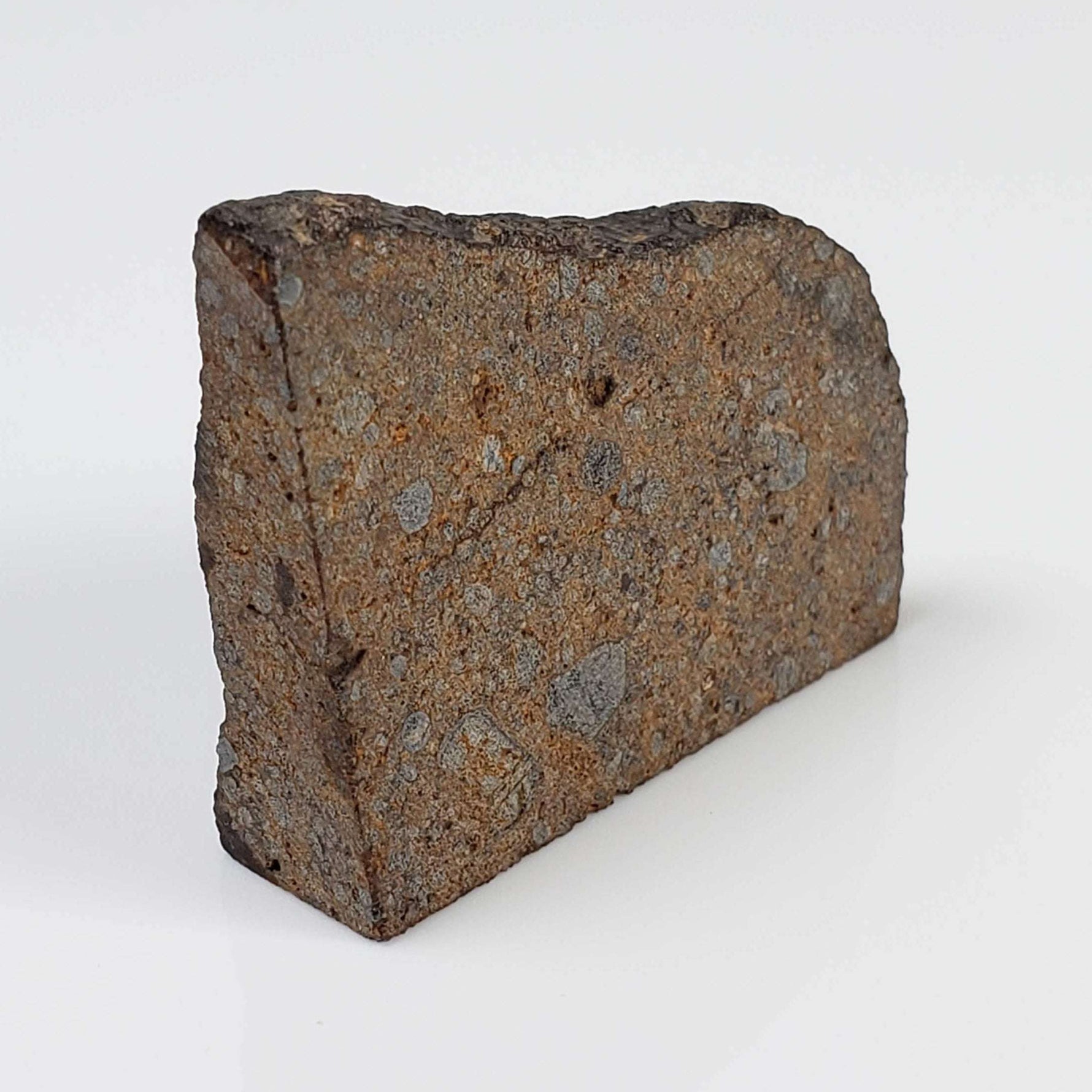  NWA 2865 Meteorite | 10.76 grams | Part End Cut | L4 | Low TKW 3