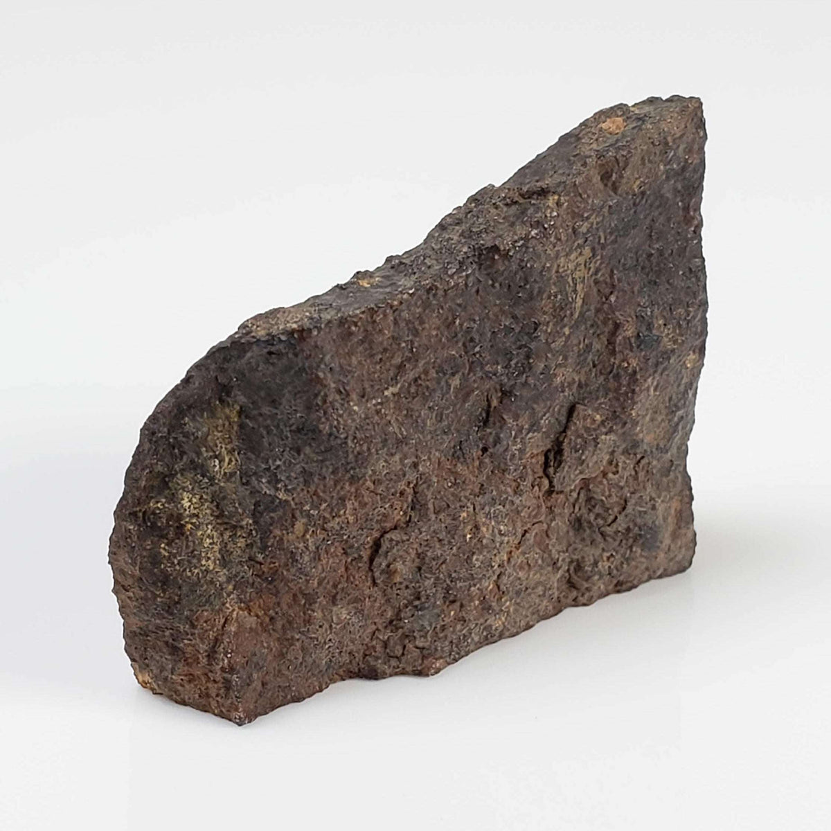  NWA 2865 Meteorite | 10.76 grams | Part End Cut | L4 | Low TKW 4