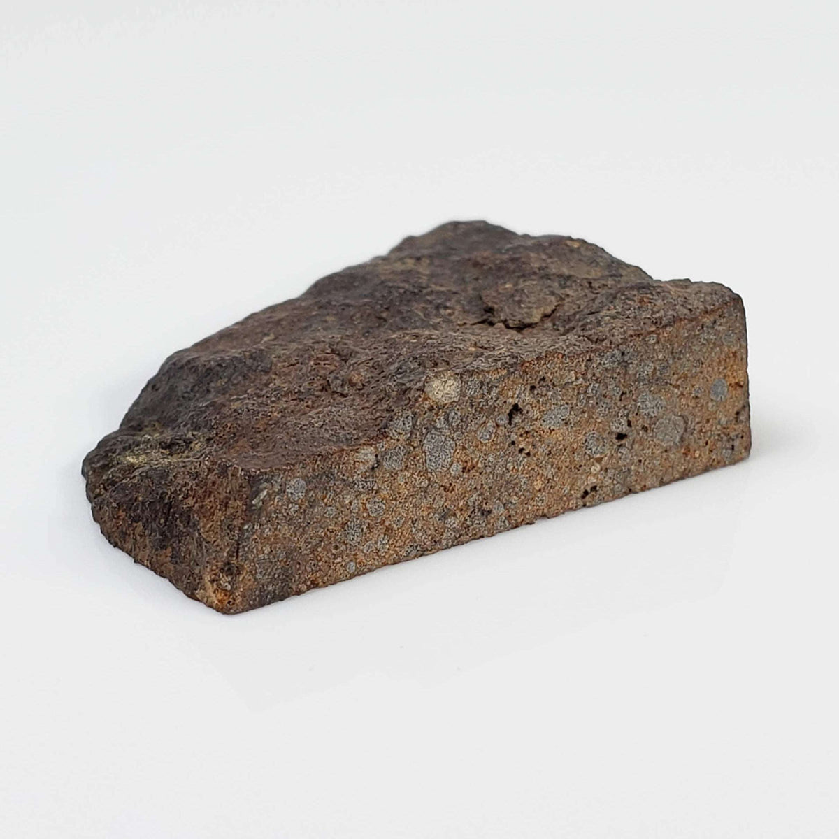  NWA 2865 Meteorite | 10.76 grams | Part End Cut | L4 | Low TKW 5