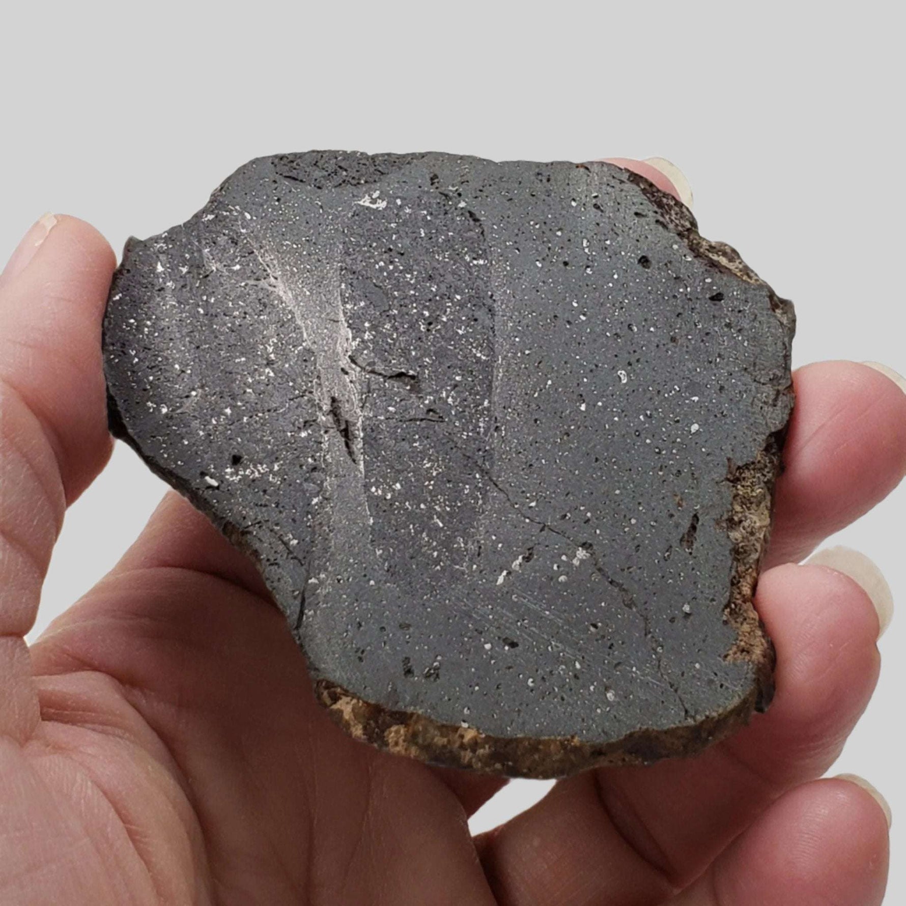  NWA 2902 Meteorite | 51.05 Gr Slice | Rare L-Melt Rock | Low TKW 1