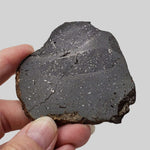  NWA 2902 Meteorite | 51.05 Gr Slice | Rare L-Melt Rock | Low TKW 2