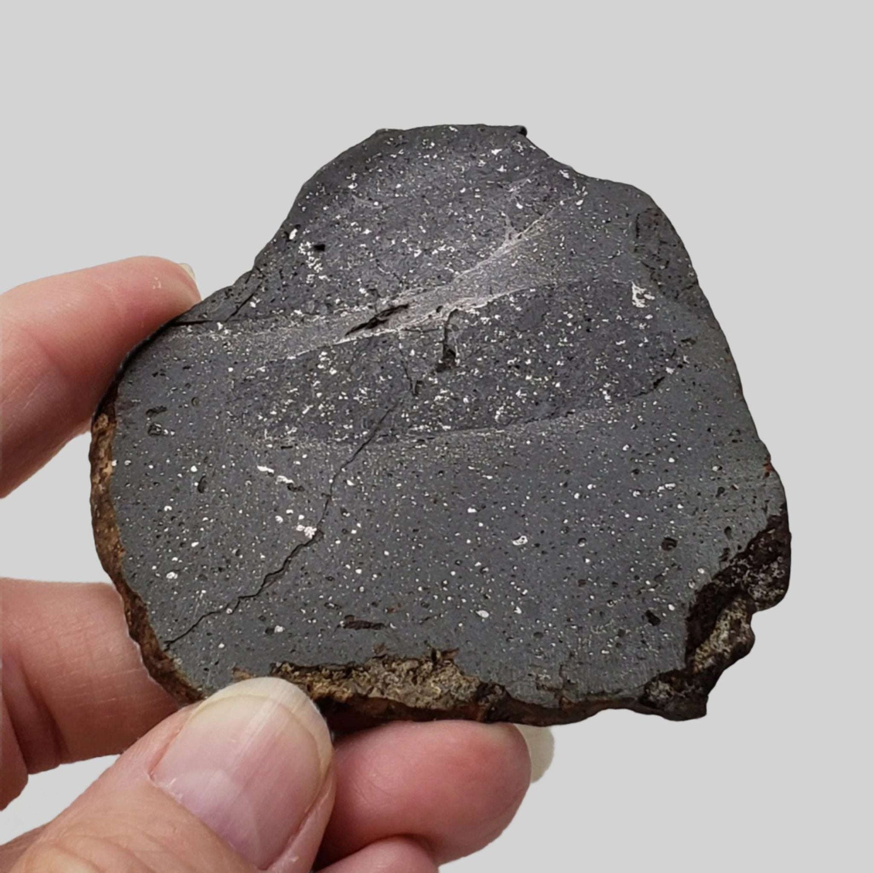  NWA 2902 Meteorite | 51.05 Gr Slice | Rare L-Melt Rock | Low TKW 2