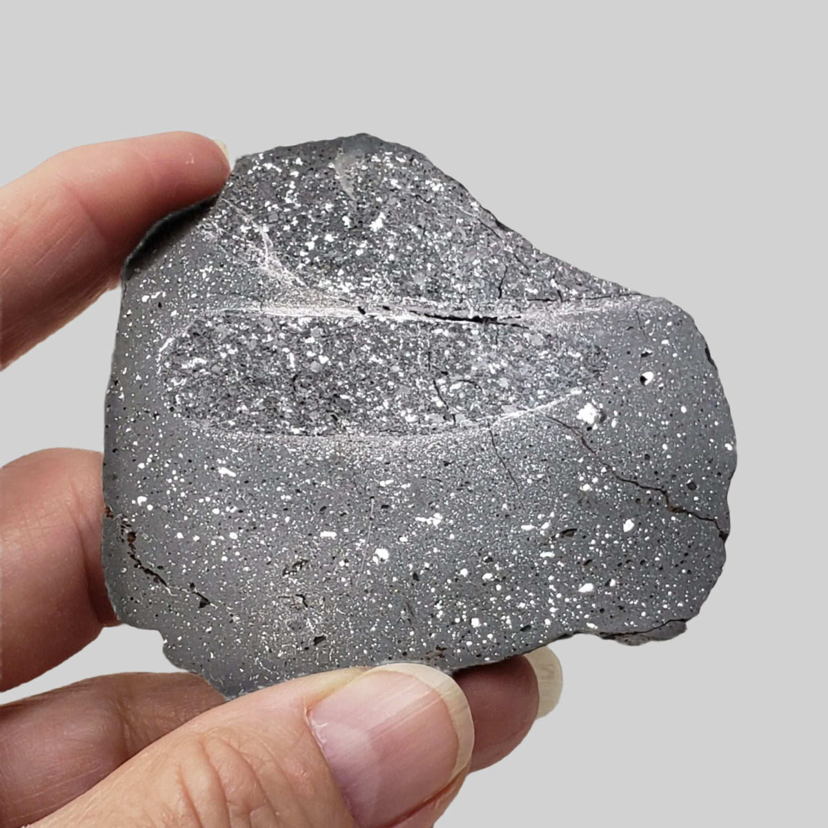  NWA 2902 Meteorite | 51.05 Gr Slice | Rare L-Melt Rock | Low TKW 3
