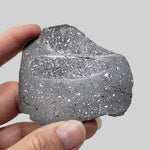  NWA 2902 Meteorite | 51.05 Gr Slice | Rare L-Melt Rock | Low TKW 3