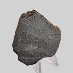  NWA 2902 Meteorite | 51.05 Gr Slice | Rare L-Melt Rock | Low TKW 7