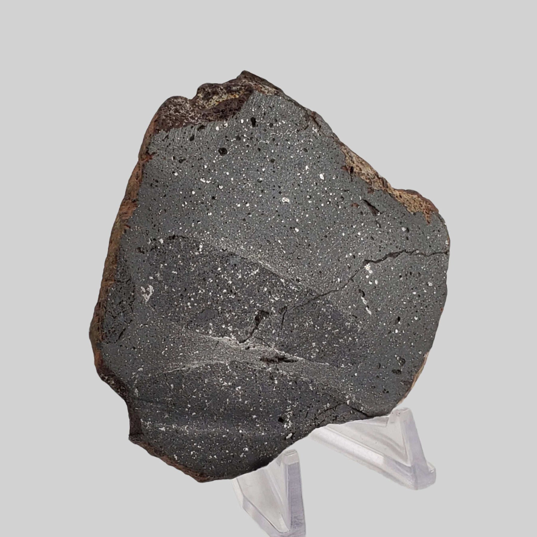  NWA 2902 Meteorite | 51.05 Gr Slice | Rare L-Melt Rock | Low TKW 7