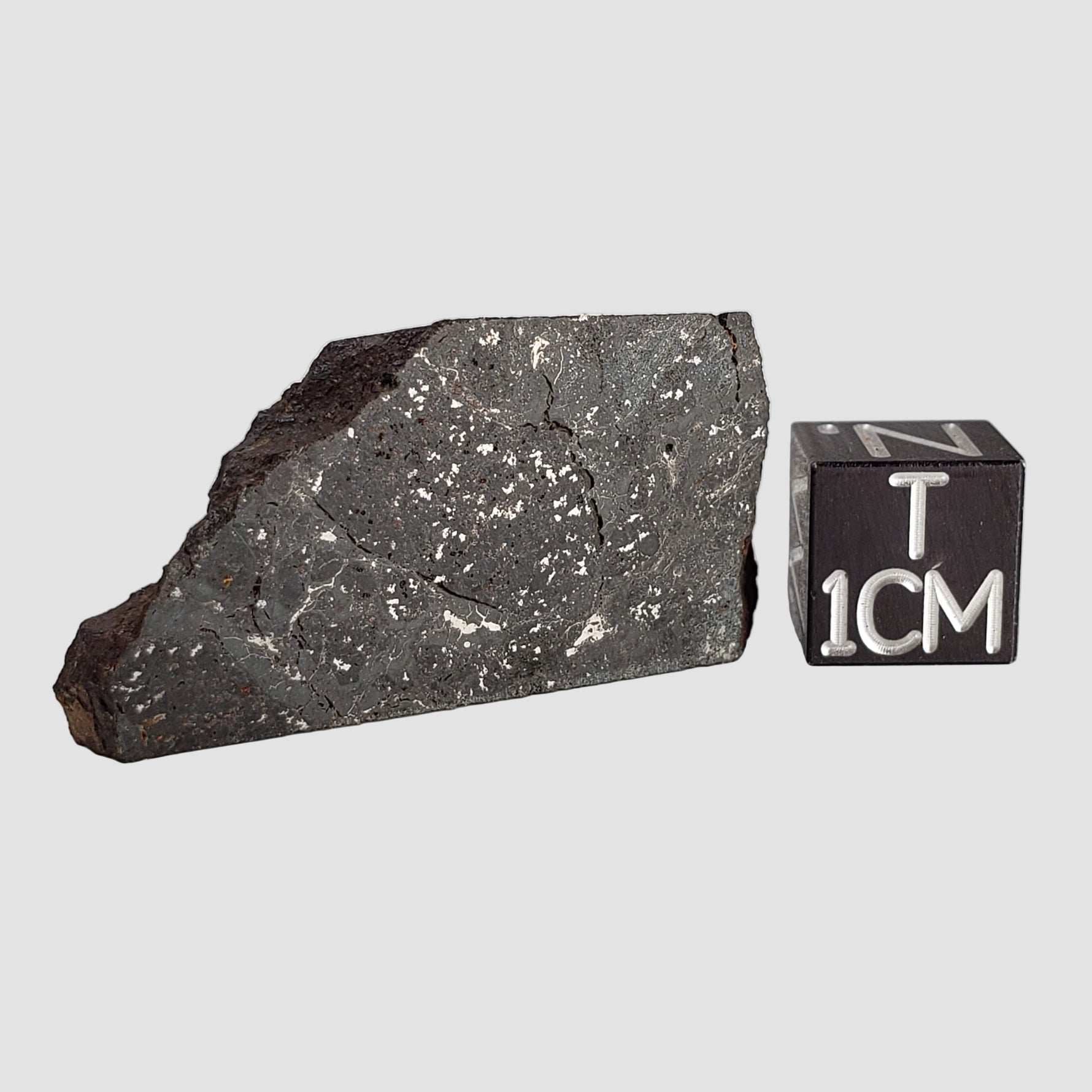  NWA 2946 Meteorite | 8.2 grams | Part Slice | H3.8 Chondrite | Low TKW 