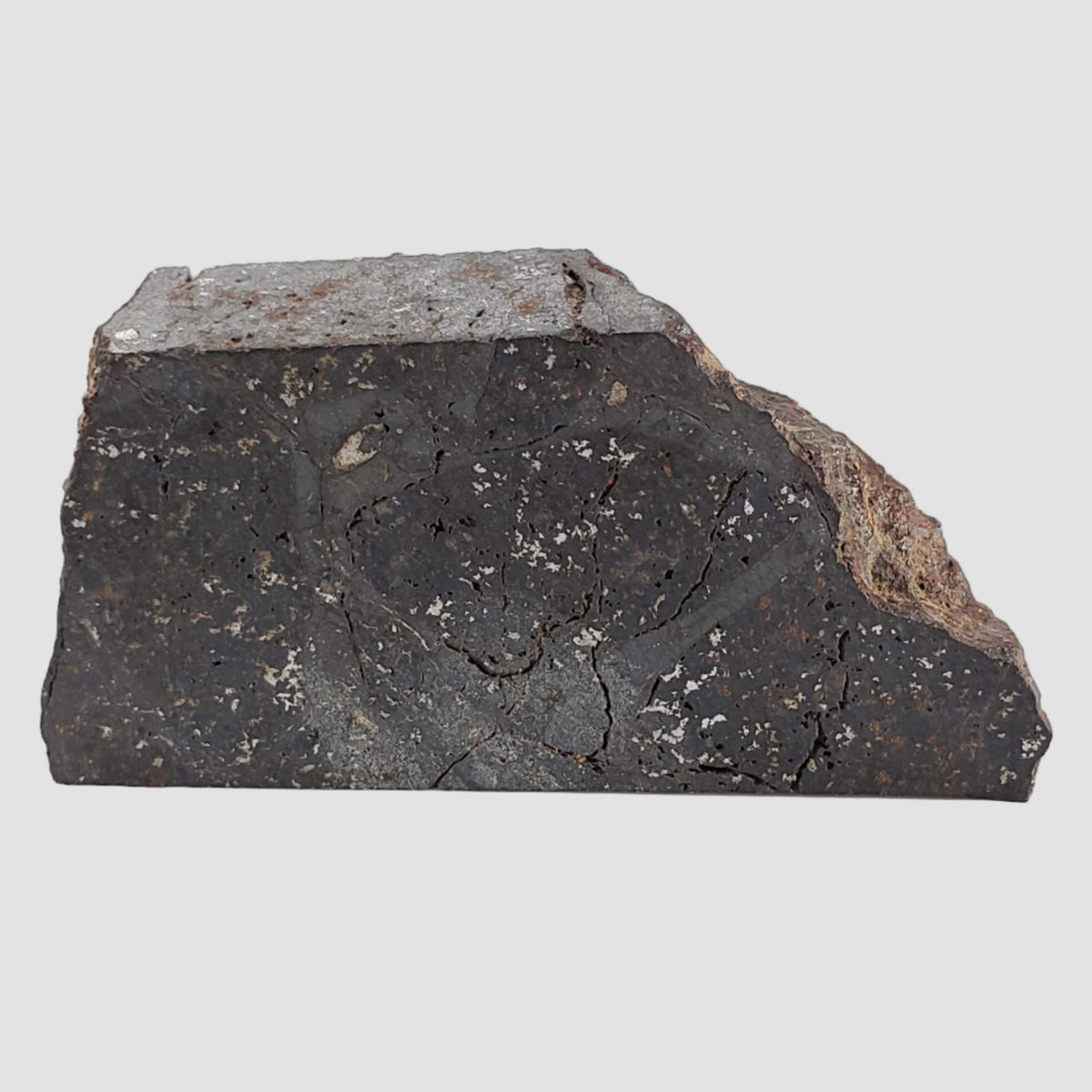  NWA 2946 Meteorite | 8.2 grams | Part Slice | H3.8 Chondrite | Low TKW 2