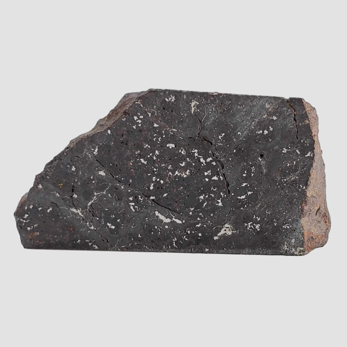  NWA 2946 Meteorite | 8.2 grams | Part Slice | H3.8 Chondrite | Low TKW 3