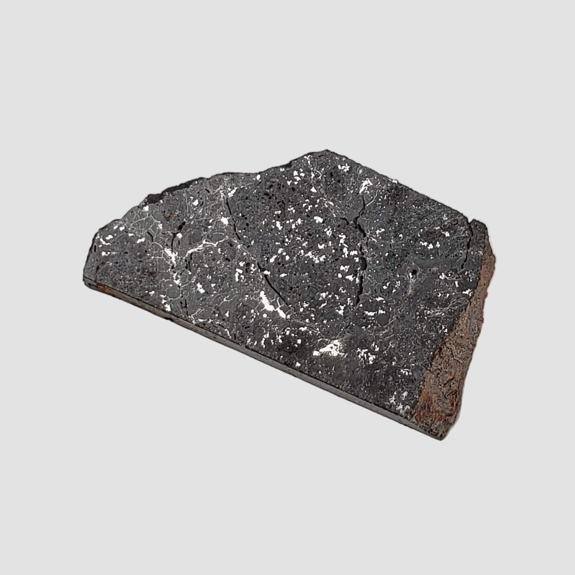 Tranche D'astéroïde Météorite - Chondrite NWA OC-H - Qualité Joaillerie - Pièce Unique