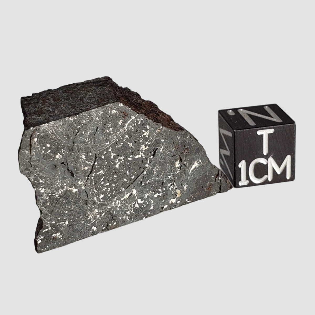  NWA 2946 Meteorite | 9.8 grams | Part Slice | H3.8 Chondrite | Low TKW 