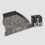  NWA 2946 Meteorite | 9.8 grams | Part Slice | H3.8 Chondrite | Low TKW 