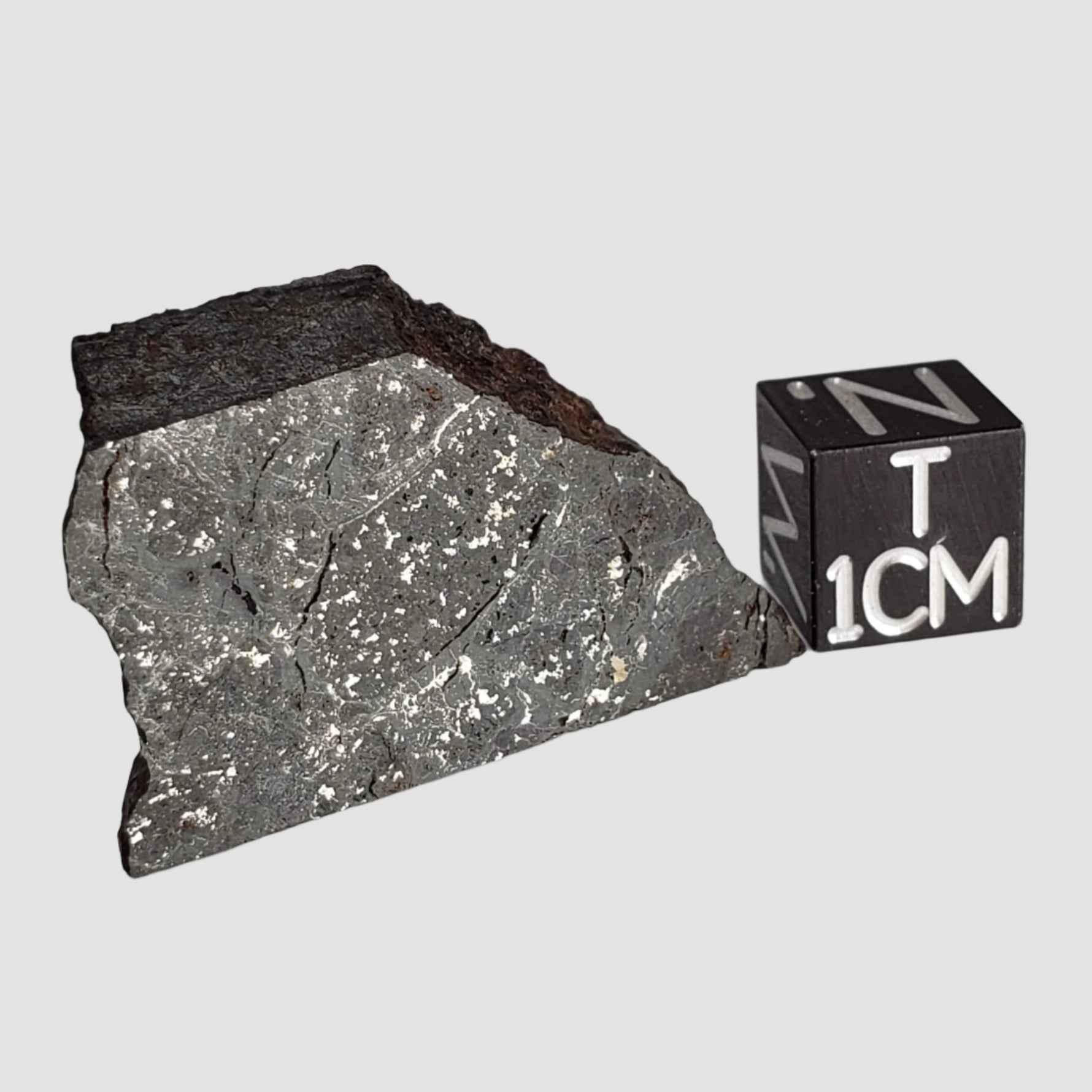  NWA 2946 Meteorite | 9.8 grams | Part Slice | H3.8 Chondrite | Low TKW 