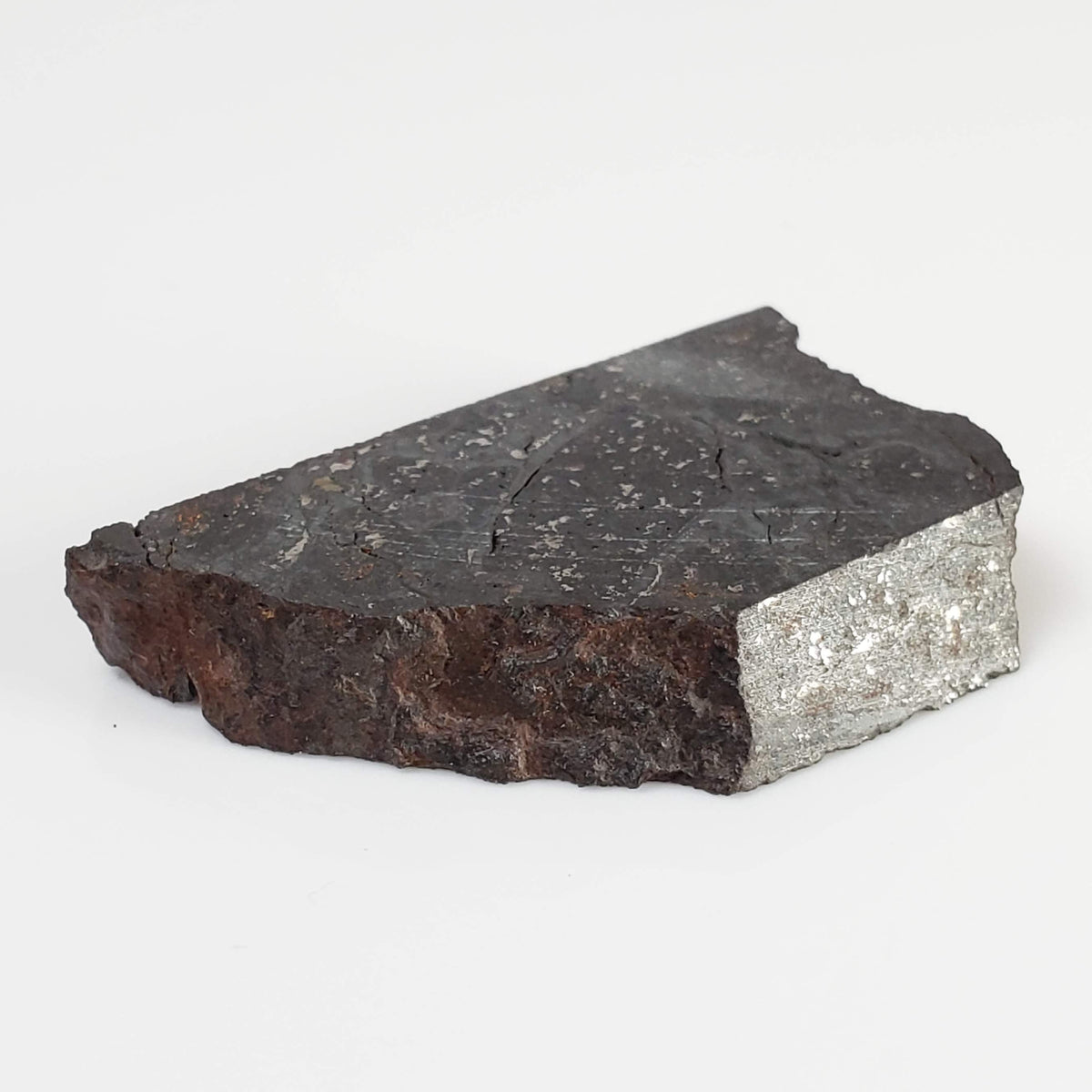  NWA 2946 Meteorite | 9.8 grams | Part Slice | H3.8 Chondrite | Low TKW 8