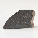  NWA 2946 Meteorite | 9.8 grams | Part Slice | H3.8 Chondrite | Low TKW 5