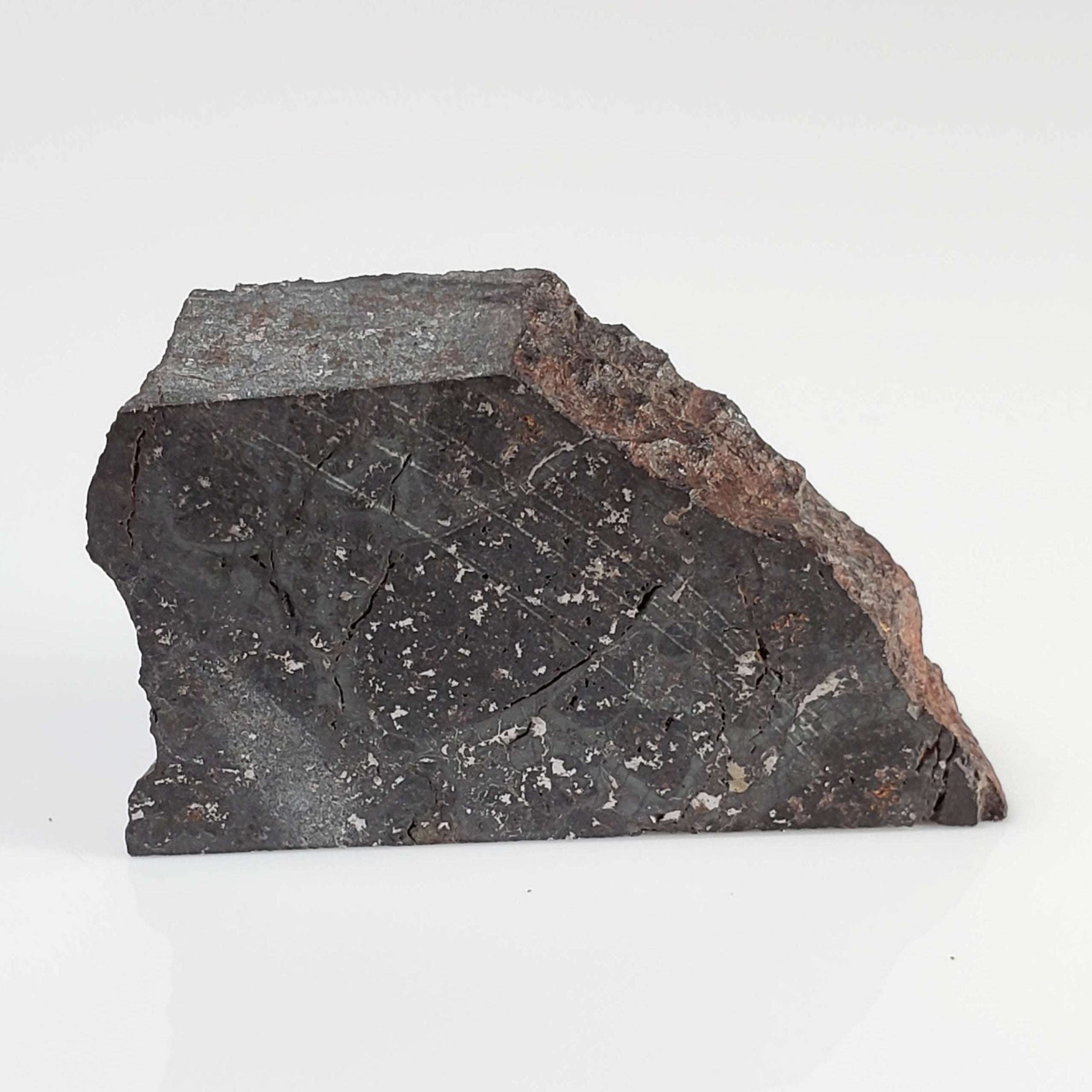  NWA 2946 Meteorite | 9.8 grams | Part Slice | H3.8 Chondrite | Low TKW 6