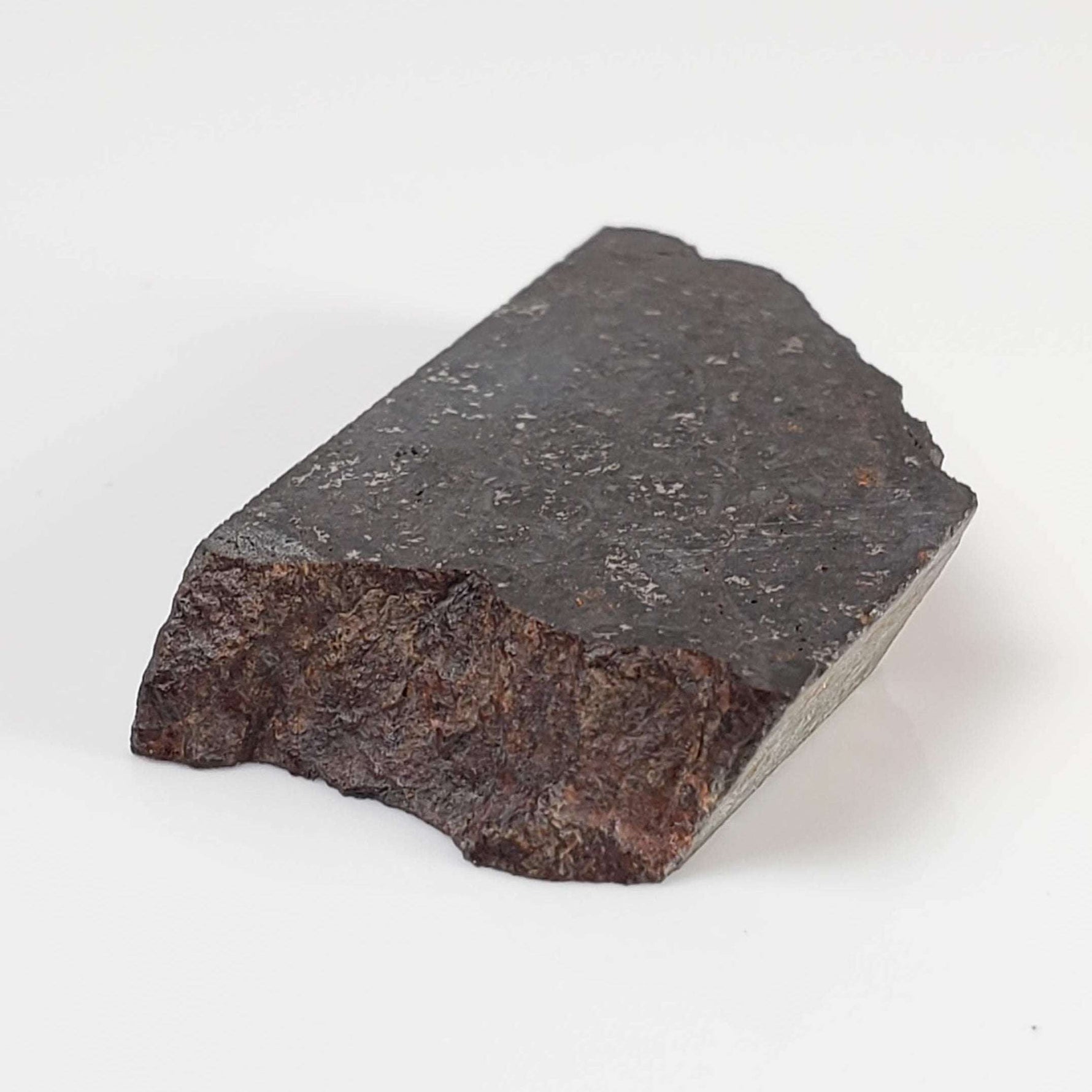  NWA 2946 Meteorite | 9.8 grams | Part Slice | H3.8 Chondrite | Low TKW 7