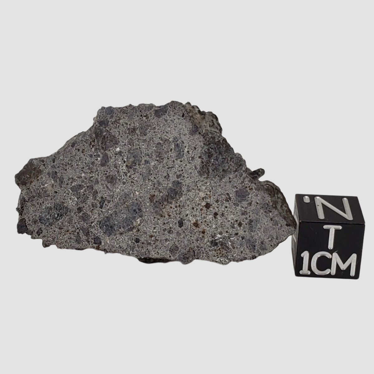 NWA 2949 Meteorite | 20 Gr | End Cut | Rare Crusted Eucrite | Low TKW | Erfoud, Morocco 