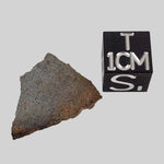  NWA 2965 Fossil Meteorite | .48 Grams | Slice | Rare Enstatite EL-Melt Rock | Paleomet 