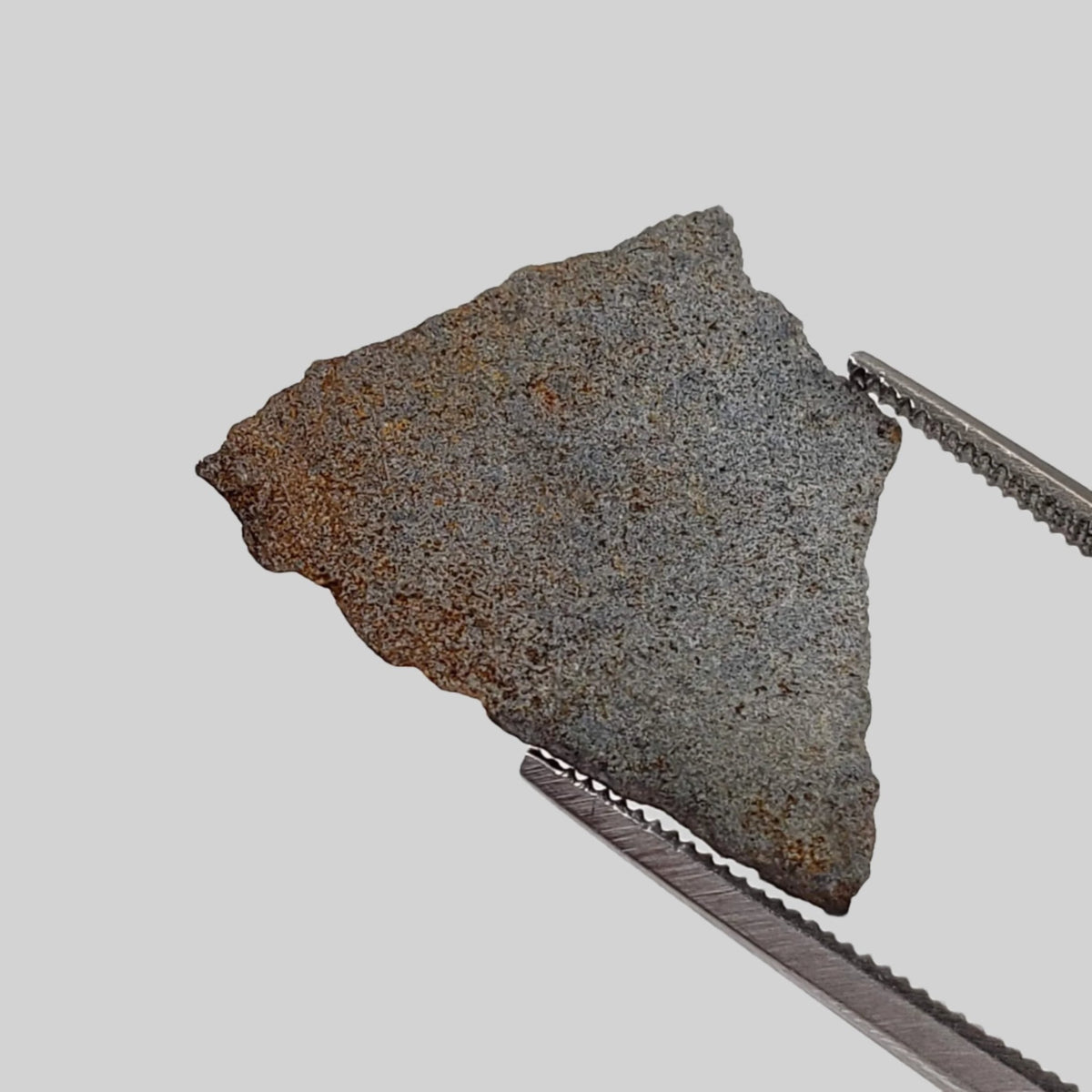  NWA 2965 Fossil Meteorite | .48 Grams | Slice | Rare Enstatite EL-Melt Rock | Paleomet 1
