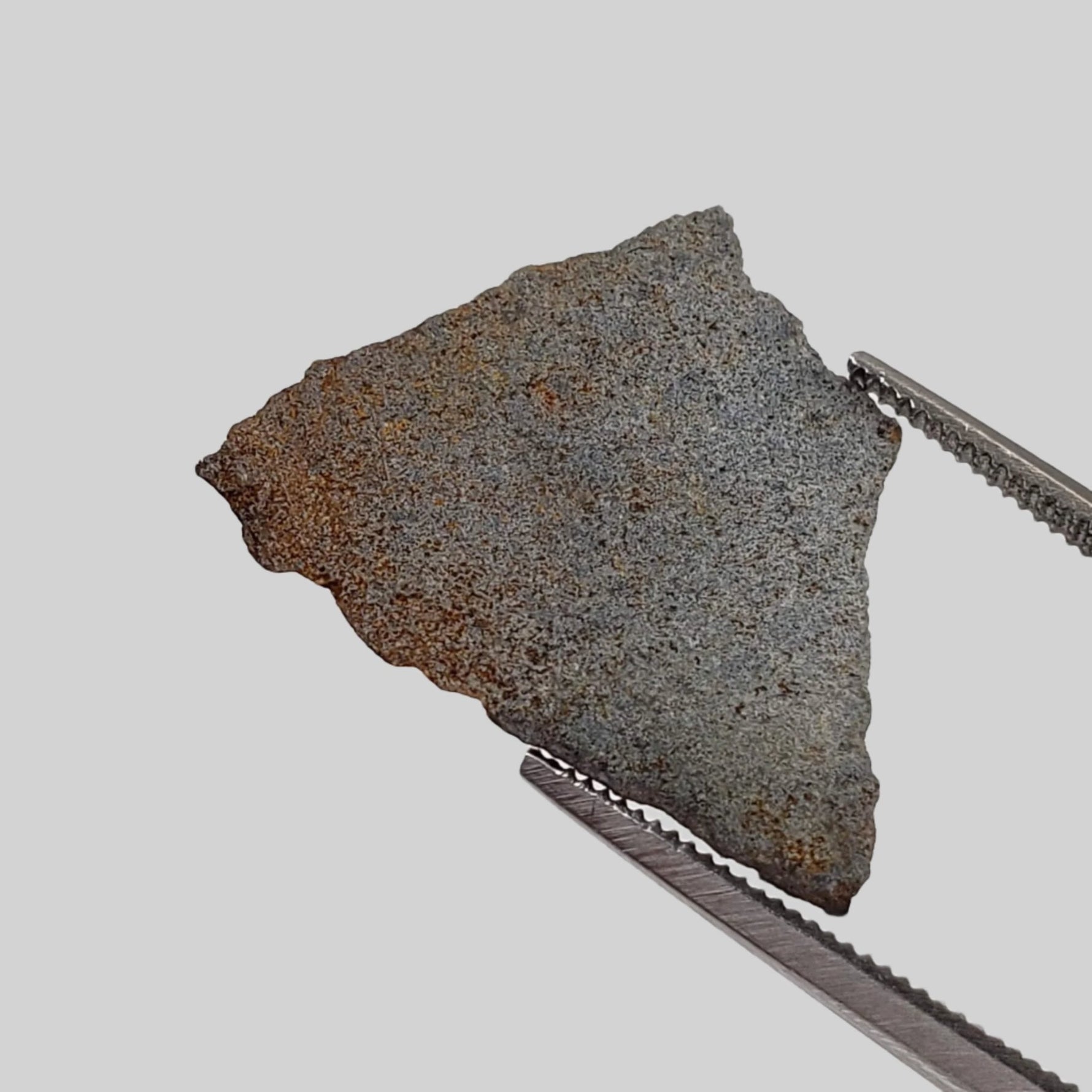  NWA 2965 Fossil Meteorite | .48 Grams | Slice | Rare Enstatite EL-Melt Rock | Paleomet 1