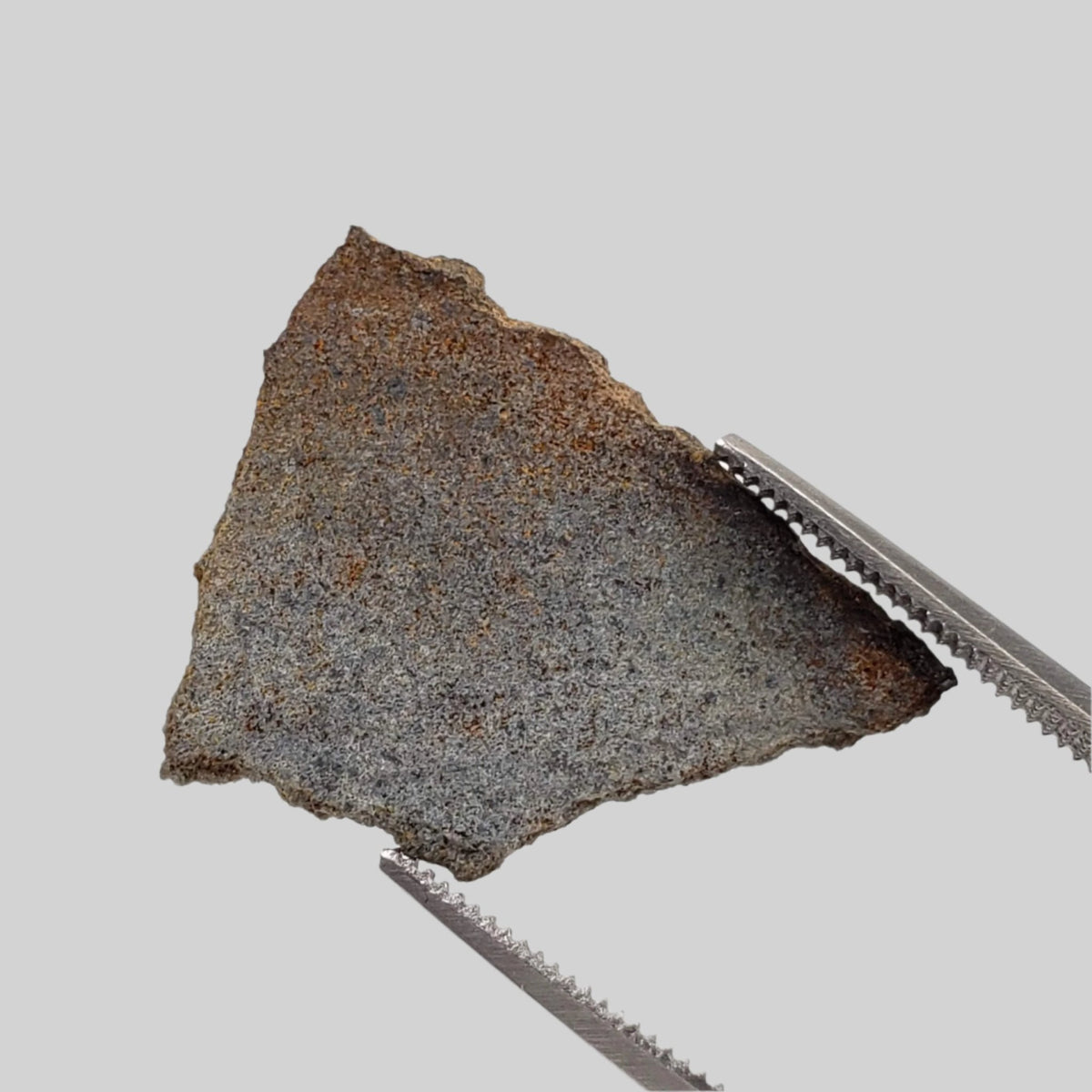  NWA 2965 Fossil Meteorite | .48 Grams | Slice | Rare Enstatite EL-Melt Rock | Paleomet 2