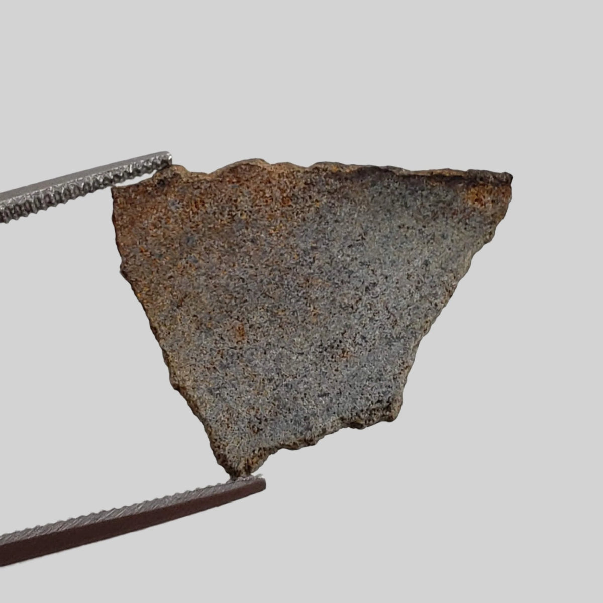  NWA 2965 Fossil Meteorite | .48 Grams | Slice | Rare Enstatite EL-Melt Rock | Paleomet 3