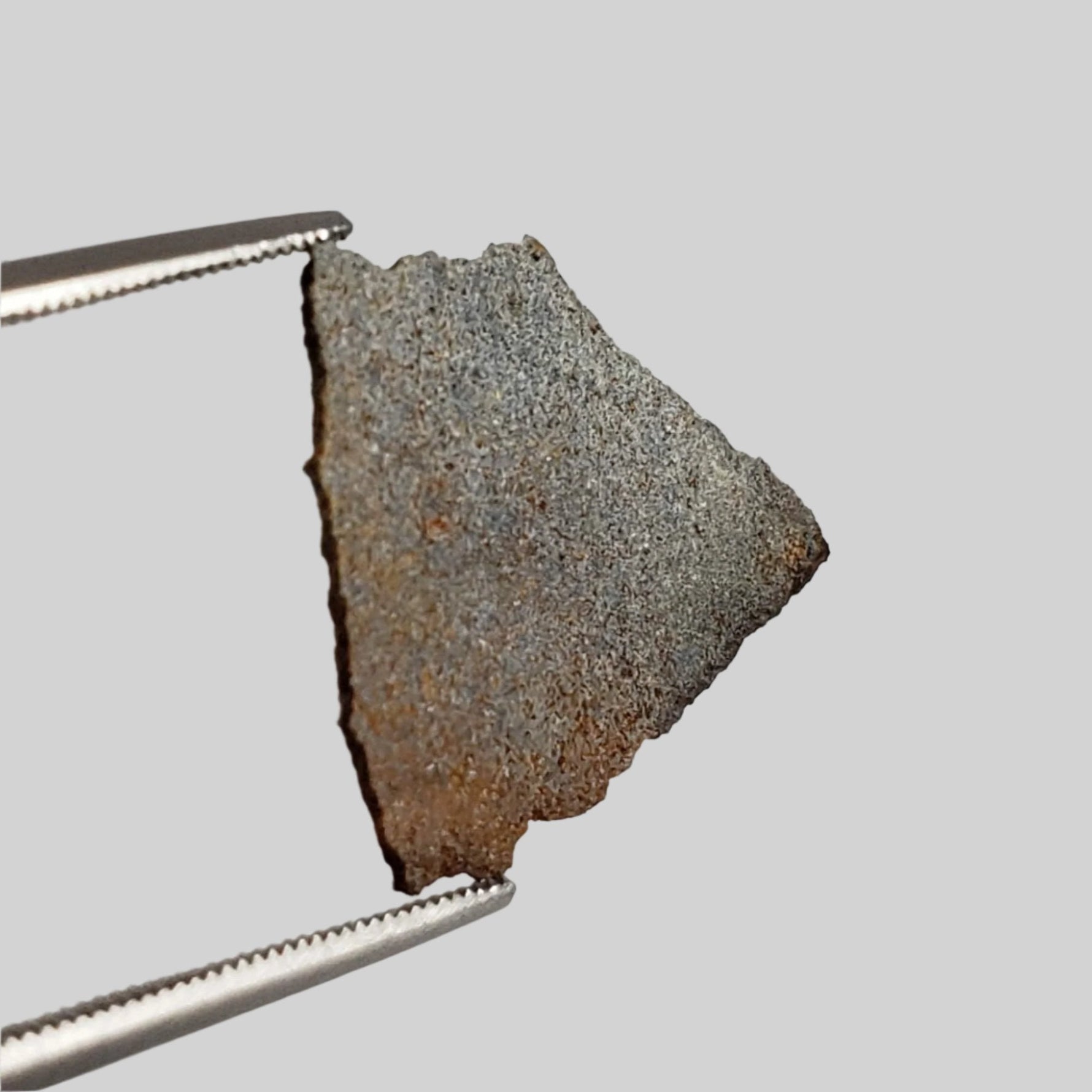  NWA 2965 Fossil Meteorite | .48 Grams | Slice | Rare Enstatite EL-Melt Rock | Paleomet 4