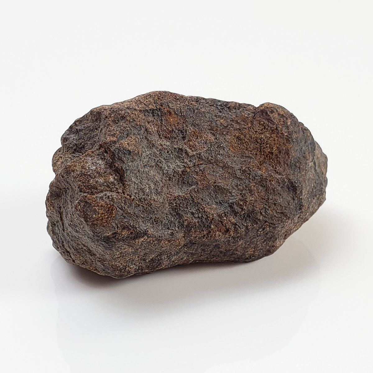  NWA 2965 Meteorite | 20.6 Grams | Individual | EL-Melt Rock | Fossil Paleomet 1