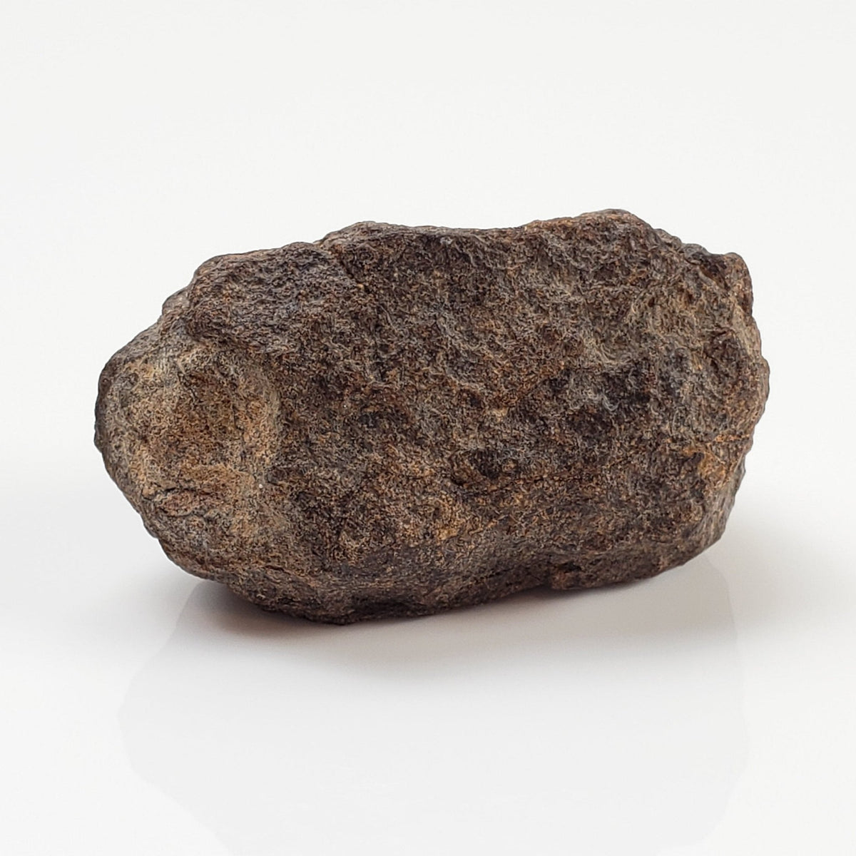 Indevidual Rocks NWA 2965 Meteorite | 20.6 Grams | Individual | EL-Melt Rock | Fossil P