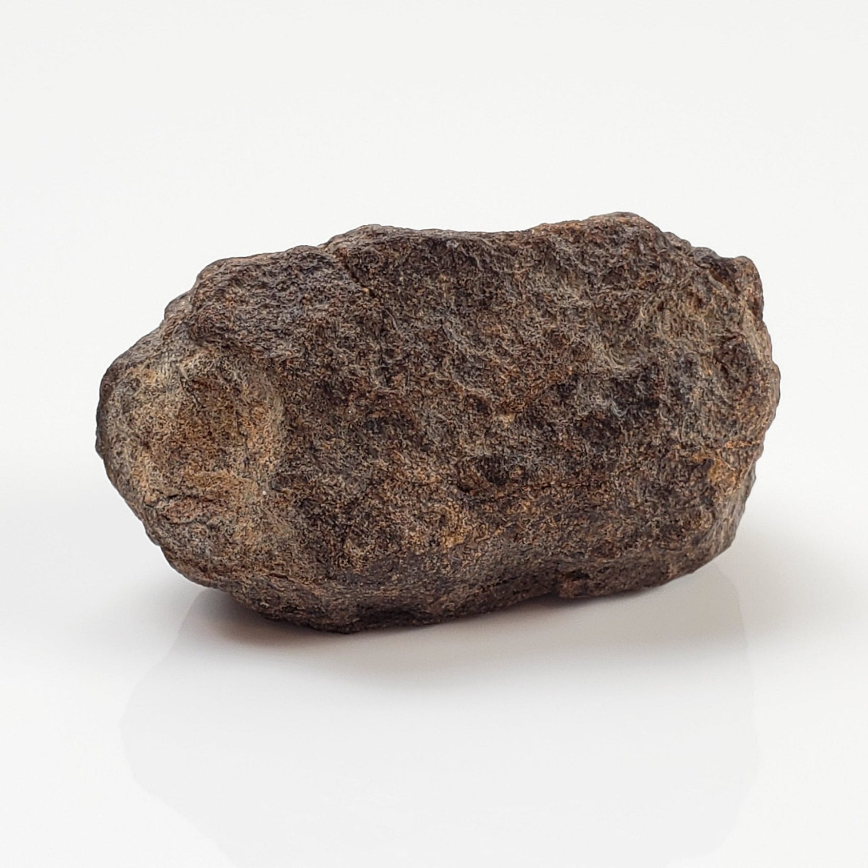  NWA 2965 Meteorite | 20.6 Grams | Individual | EL-Melt Rock | Fossil Paleomet 5