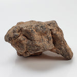  NWA 2965 Meteorite | 63.49 Grams | Individual | EL-Melt Rock | Fossil Paleomet 2
